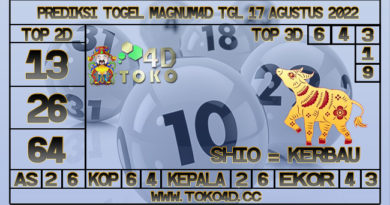 TOKO4D – PREDIKSI TOGEL MAGNUM4D 17 AGUSTUS 2022