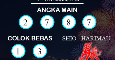 PREDIKSI TOGEL MARINABAY MINGGU : 17 NOVEMBER 2024