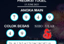 PREDIKSI TOGEL HONGKONG MINGGU : 15  JUNI 2025